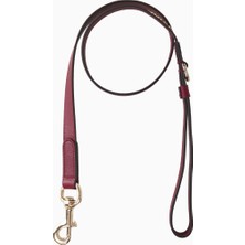 Gucci Deri Small/medium Italyan Tasarımı, Köpek Tasması ve Gezdirme Kayışı