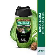 Palmolive Men Duş Jeli 250ML Cedarwood