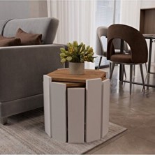 Eco Room Inci 3'lü Sekizgen Zigon Sehpa - Atlantik Çam / Beyaz - 38,5X36X36 cm