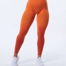 Alphalete Ombré Büzgülü Tayt