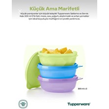 Tupperware Şeker Kaplar 300 ml 3 Lü Görseldeki Renkler