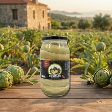 Tek Lezzet Büyük Enginar Konserve Bayrampaşa