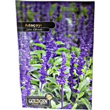 Goldgen Pro Seed Goldgen Adaçayı Çiçeği Tohumu