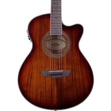 Washburn EA55G Festival Elektro Akustik Gitar (Profesyonel - Sahne Serisi) | Ince Kasa Tasarımı, Ge