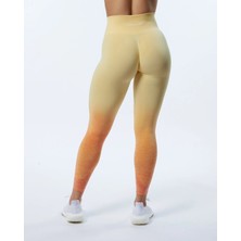 Alphalete Büzgülü Tayt Ombre