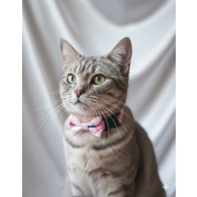 Patipin Açık Pembe Ekose Serisi Fiyonklu Ayarlanabilir Kedi ve Köpek Tasması