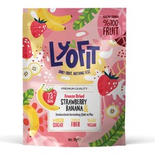 Freeze Dried Muz Çilek 20G