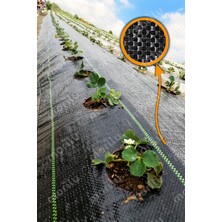 Sülzer Kumaş Sera Taban Yabani Ot Örtüsü - Jüt Peyzaj Uygulama Yer Malç Naylonu -Ebat Seç