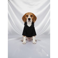 Premium Su Geçirmez Kedi Köpek Yağmurluğu - Şık ve Fonksiyonel