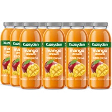 Kuzeyden %100 Meyve Mango Suyu | 12X250ML | Ilave Şeker, Katkı ve Koruyucu Madde Içermez | 12 Adet |