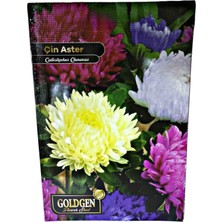Goldgen Pro Seed Goldgen Çin Aster Çiçeği Tohumu