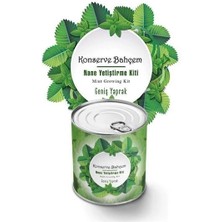 Belle Fusion Mey Ithalat® Konserve Bahçem Nane Yetiştirme Kiti