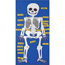 Belle Fusion Mey Ithalat® AND-9150 Cırtlı Iskelet Pano 5119