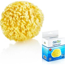 Belle Fusion Mey Ithalat®  doğal Deniz Süngeri 163