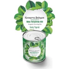 Belle Fusion Mey Ithalat® Konserve Bahçem Evde Konservede Iri Yapraklı Roka Yetiştirme Kiti