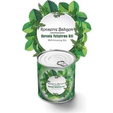 Belle Fusion Mey Ithalat® Konserve Bahçem Evde Konservede Dereotu Yetiştirme Kiti Aparatı