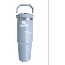 Stanley The Iceflow Flip Straw Pipetli Termos Bardak 0,89 Lt  Mat Gri