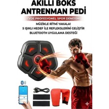 Belle Fusion Akıllı Duvar Boks Hedefi: Bluetooth Müzikli, Işıklı Refleks ve Stres Atma