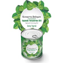 Belle Fusion Mey Ithalat® Konserve Bahçem Evde Konservede Kolay Ispanak Yetiştirme Kiti