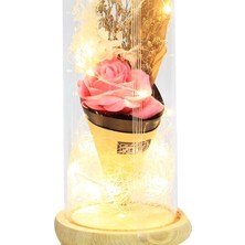 Calperia Fanus Gül 28/12CM Cam Fanus LED Işıklı Hediyelik