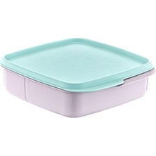 DS LLC Bölmeli Saklama Kabı ROYALEKS-AK540 DSLLC34-43TX