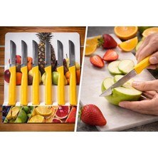 Genel 6’lı Meyve Bıçağı Seti – Paslanmaz Çelik Meyve & Sebze Bıçakları, Ergonomik Saplı