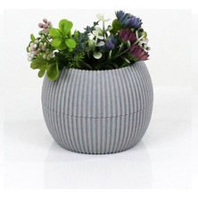 DS LLC Mercan Saksı 2 Numara 0,35 Litre Su Hazneli Dekoratif Kaktüs Sukulent Saksı 11,8x9,2 cm DSLLC34-4