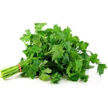 DS LLC Maydanoz Tohumu 25 gr DSLLC34-43TX