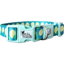Patilemece Recyle Kumaş Yeşil Limon Desenli 1.5cm Kedi Köpek Boyun Tasması