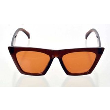 DS LLC Kahverengi Çerçeve Cat Eye Kadın Güneş Gözlüğü - Moda Gözlük DSLLC34-43TX