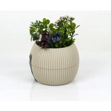 DS LLC Mercan Saksı 11.5X12 cm 0.70 Lt DSLLC34-43TX