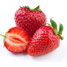 DS LLC Çilek Tohumu 25 gr DSLLC34-43TX