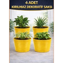 4 Adet Kırılmaz Dekoratif Saksı | 15 cm Üretim Saksısı Uyumlu | Tabaksız Kullanım