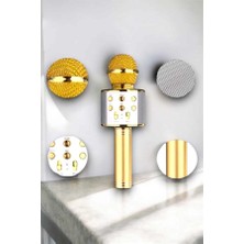 DS LLC Taşınabilir Bluetooth Karaoke Mikrofon: Hafıza Kart Girişli, Etkileyici Performans DSLLC4-2356Y