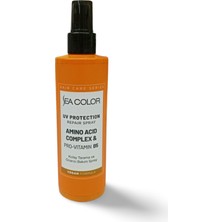 DS LLC Kolay Tarama ve Onarıcı Bakım Saç Spreyi Amino Acid Complex & Provitamin B5 220 ml DSLLC34-43TX