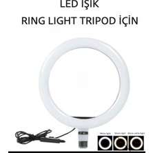 10 Inç LED Selfie Işığı, Tripod ve Youtuber Tiktok Uyumlu Ring Light