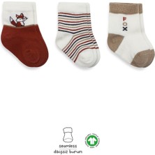 Bistyle 3'lü Penye Soket Çorap BS10109 Kiremit