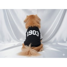 Taraftar Serisi 1903 Yazılı Köpek Sweatshirt - Küçük Irk Uyumlu Siyah Beyaz Giysi