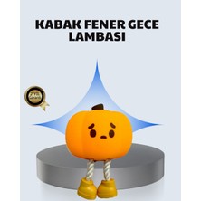 Rory Pumpkin LED Gece Lambası Üç Kademeli Işık Ayarlı