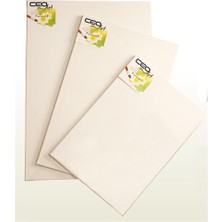 Ceoart Tuval 35x50 Düz