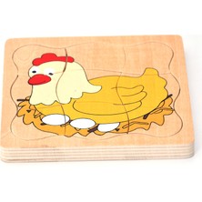 Edutoys Tavuk Gelişim Evreleri Puzzle