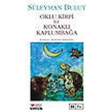 Oklu Kirpi Ile Konaklı Kaplumbağa