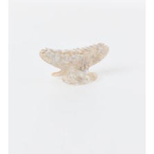 Jimmy Key Yeşil Leopar Desenli Kelebek Toka