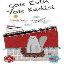 Çok Evin Yok Kedisi