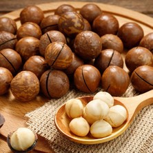 Online Kuruyemiş Makademya Fındığı Kabuklu 500 Gram
