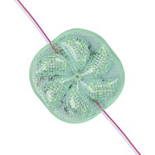 Zemira 12 Volt 3 Watt Yeşil Yanıp Sönen 6565-2835 Modül LED