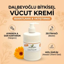 Dalbeyoğlu Bitkisel Tahriş Ve Kızarma Önleyici Kabin Boy Vücut Kremi 500 ml