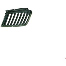 İTHAL Mıtsubıshı - L200 Pick Up 2006 - Ön Panjur Sol L200  Pick Up 2006-