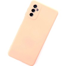Datatek Newface Samsung Galaxy M52 5g Kılıf Nano Içi Kadife Silikon - Pudra