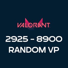 Riot Games Valorant 2925-8900 Random Vp